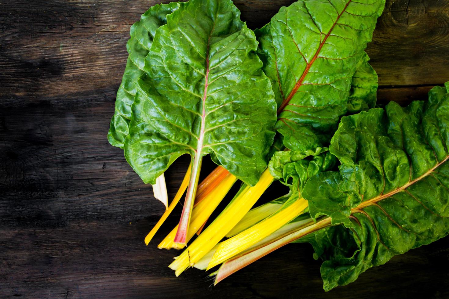 Multicolored chard leaves from the organic garden photo