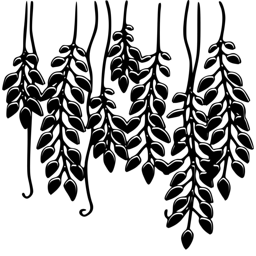 Black and white vector of plants , trees and foliage