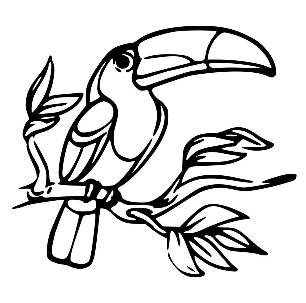 Black and white vectors of animals, birds and wildlife