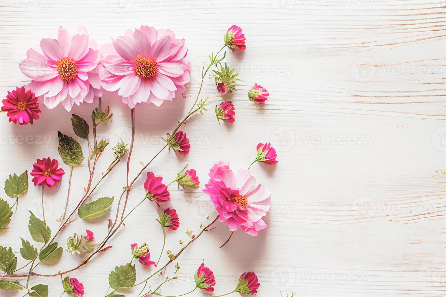 Beautiful pink flowers on white wooden background, Valentine's day concept with copy space photo