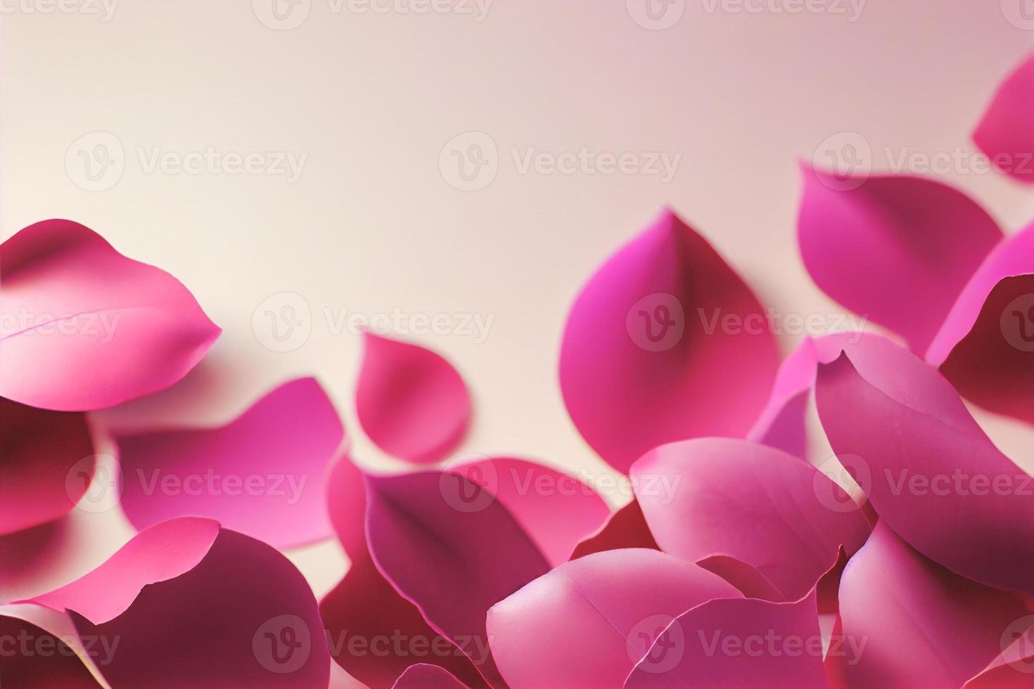 Valentine frame made of rose flowers, confetti on white background photo