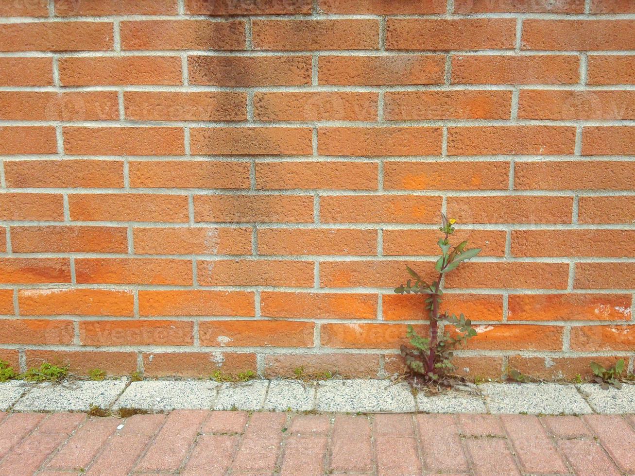 industrial style red brick wall background with copy space photo