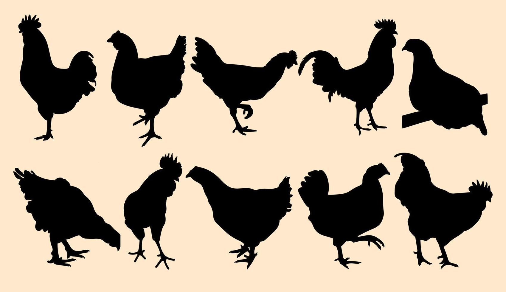 poner gallo, gallo, gallo, pollo, gallina, pollito, posición de pie, siluetas de aves de corral dibujadas a mano, vector aislado
