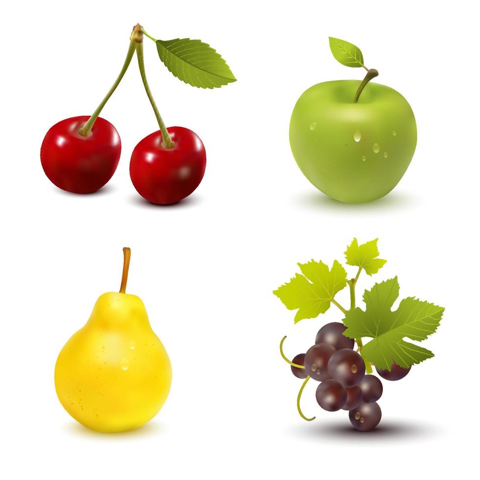 Realistic fruits vector illustration