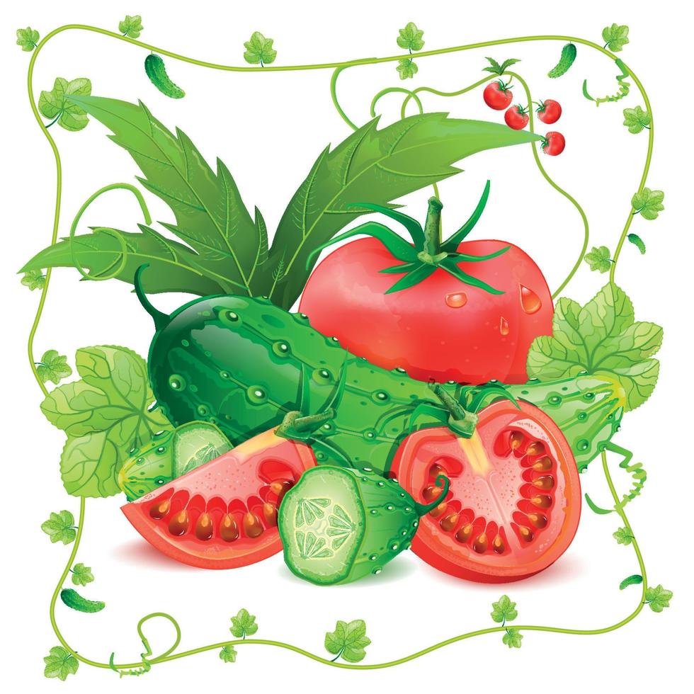 Ilustración de vector de tomates y pepinos
