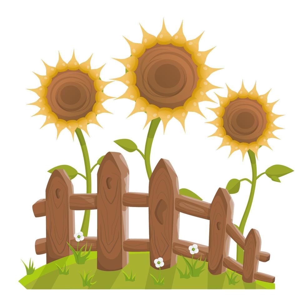 Sunflowers behind fence vector illustration