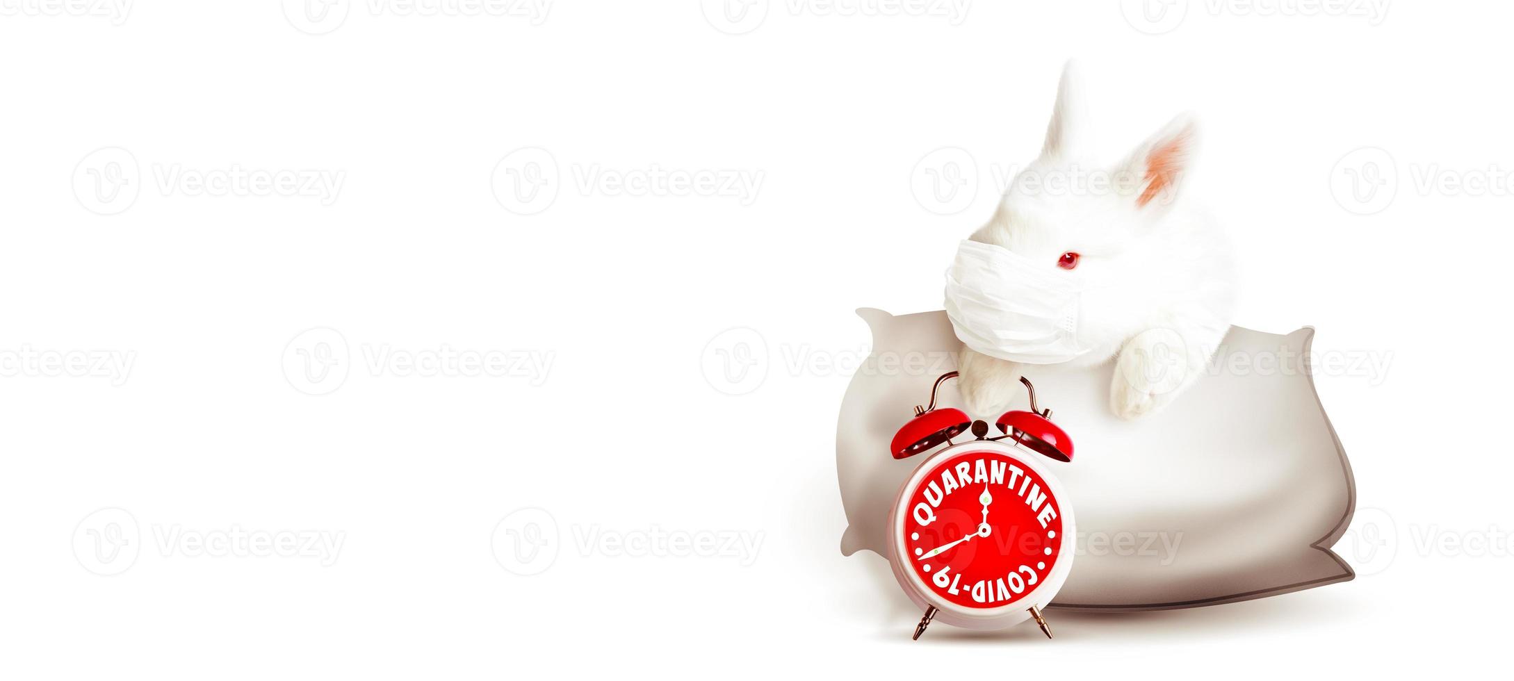Easter rabbit with medical mask at epidemic time photo
