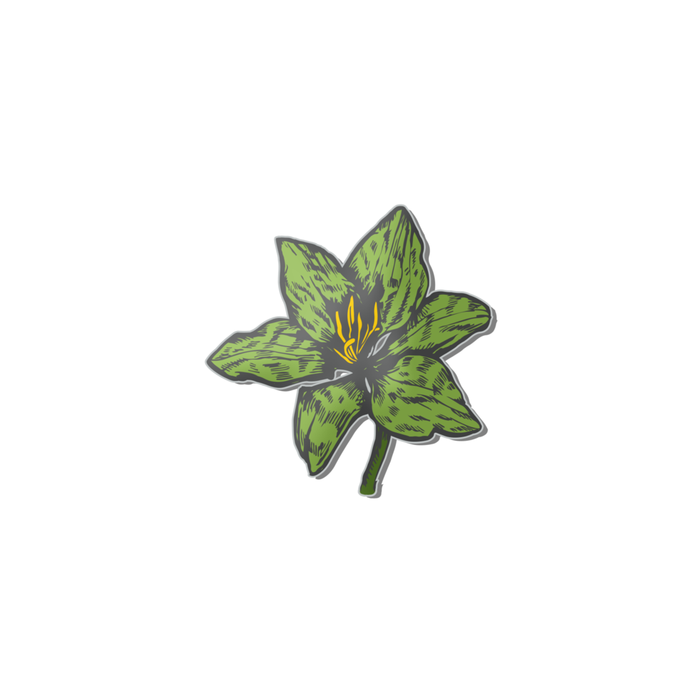 Little plant leaves icon  start of spring. png