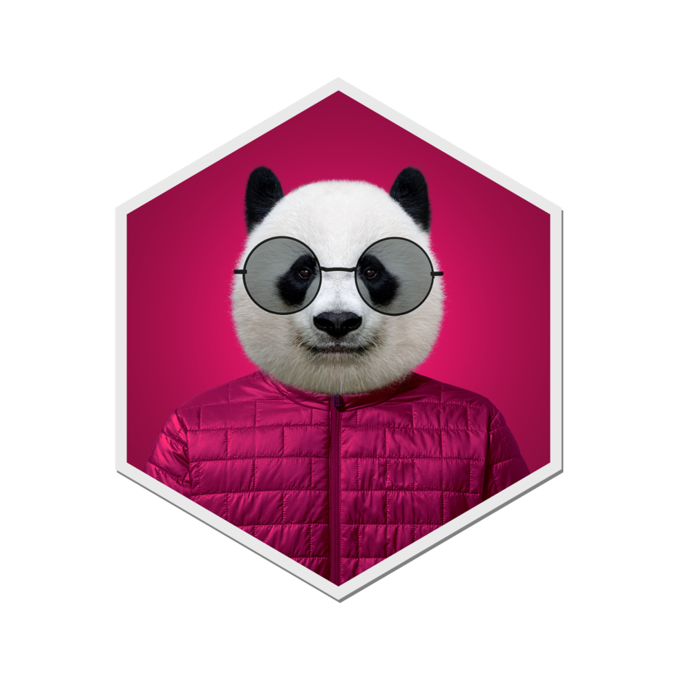 Panda Kollektion Winter png