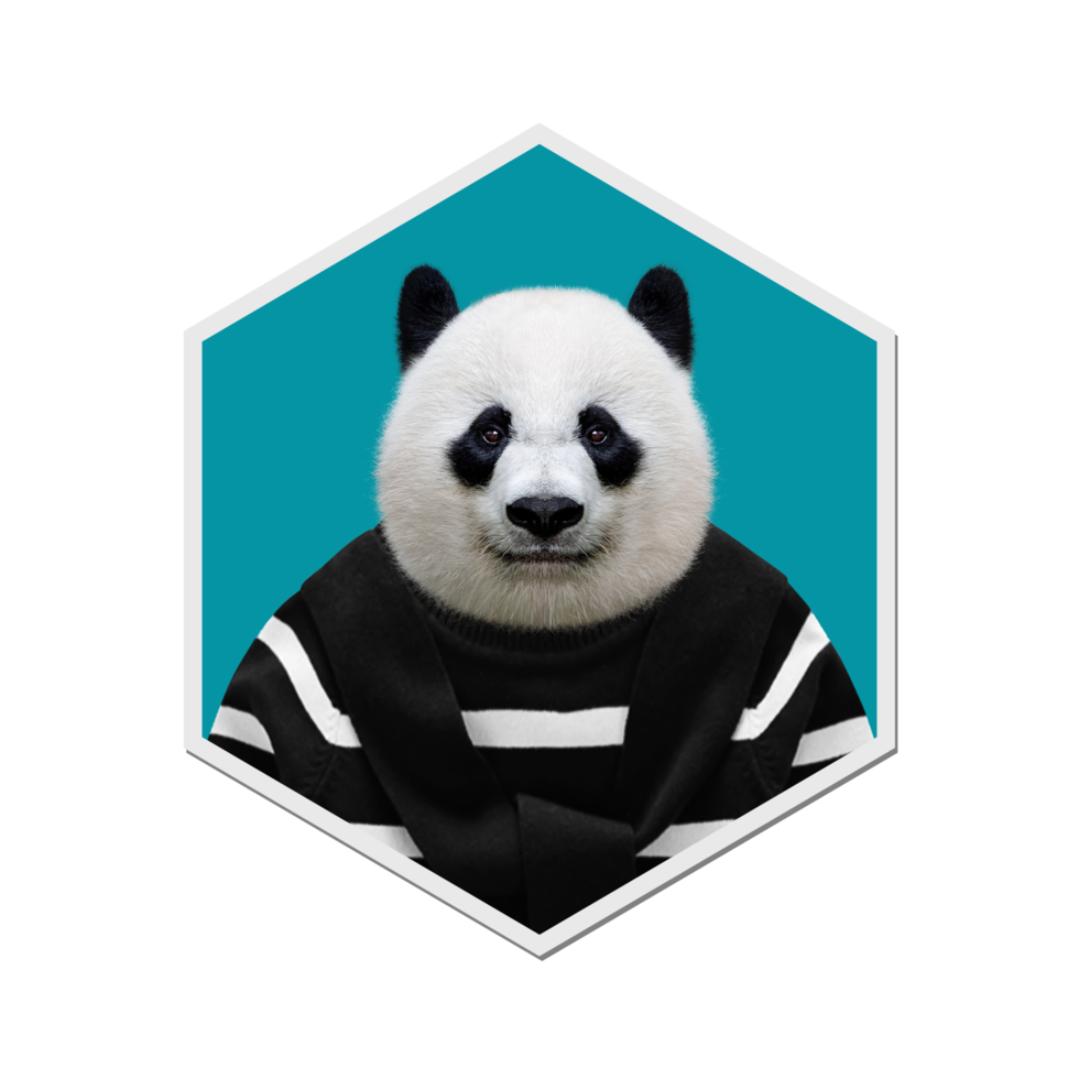 Panda Kollektion Winter png