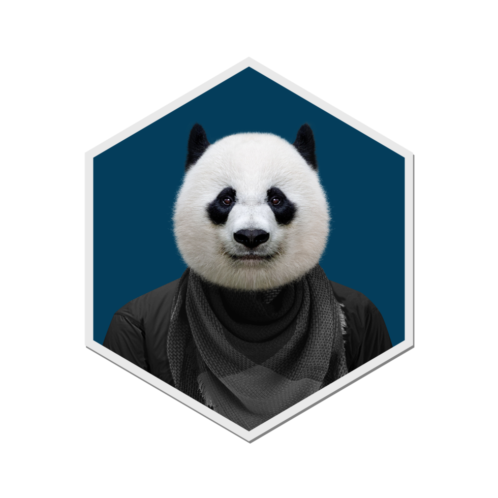 Panda Kollektion Winter png
