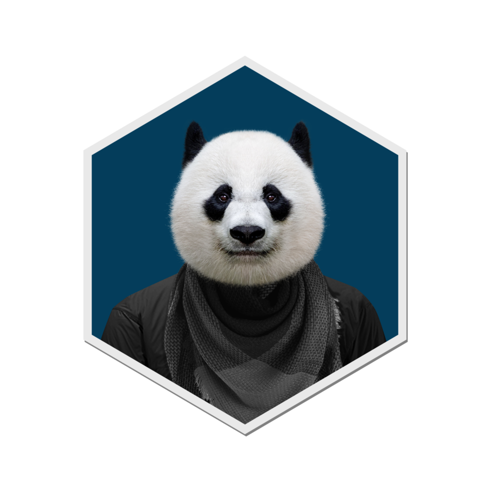 Panda collection winters png