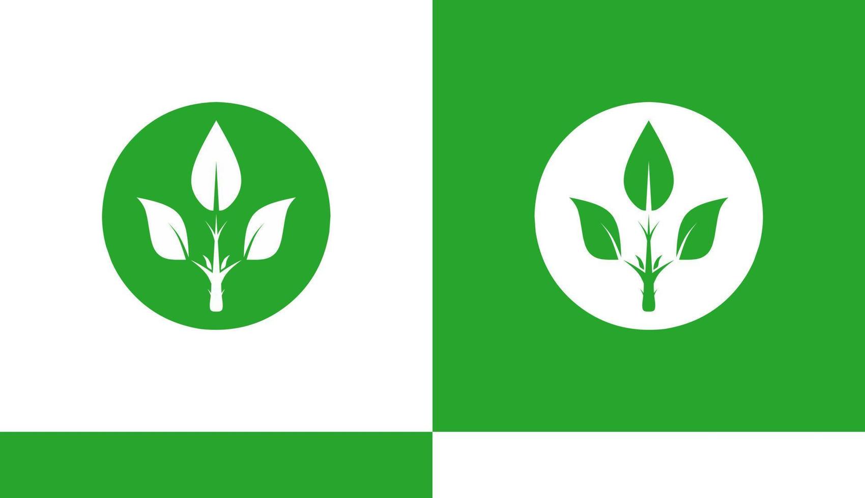 logotipo o vector de símbolo de hoja
