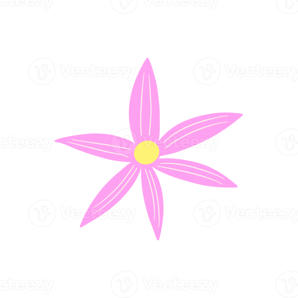 Pink Flower Blooming png