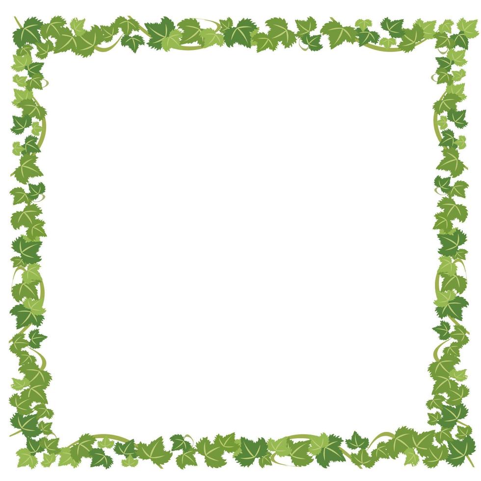 Tropical leaf frame with green leaves. Green leaf nature frame layout Vector illustration