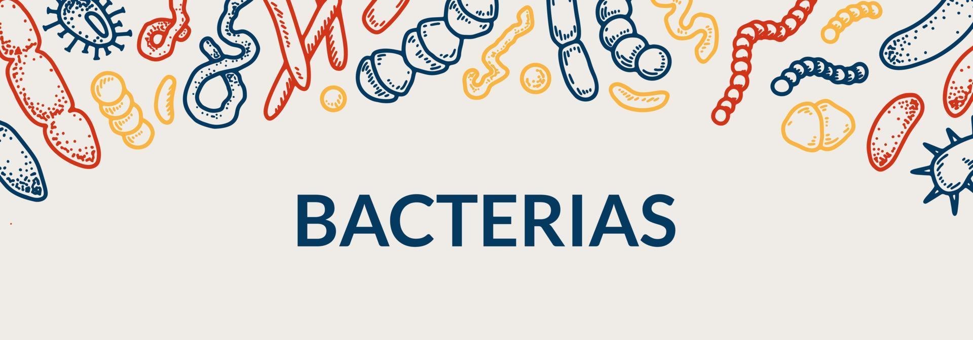 Bacteria horizontal design. Hand drawn vector illustration in sketch style