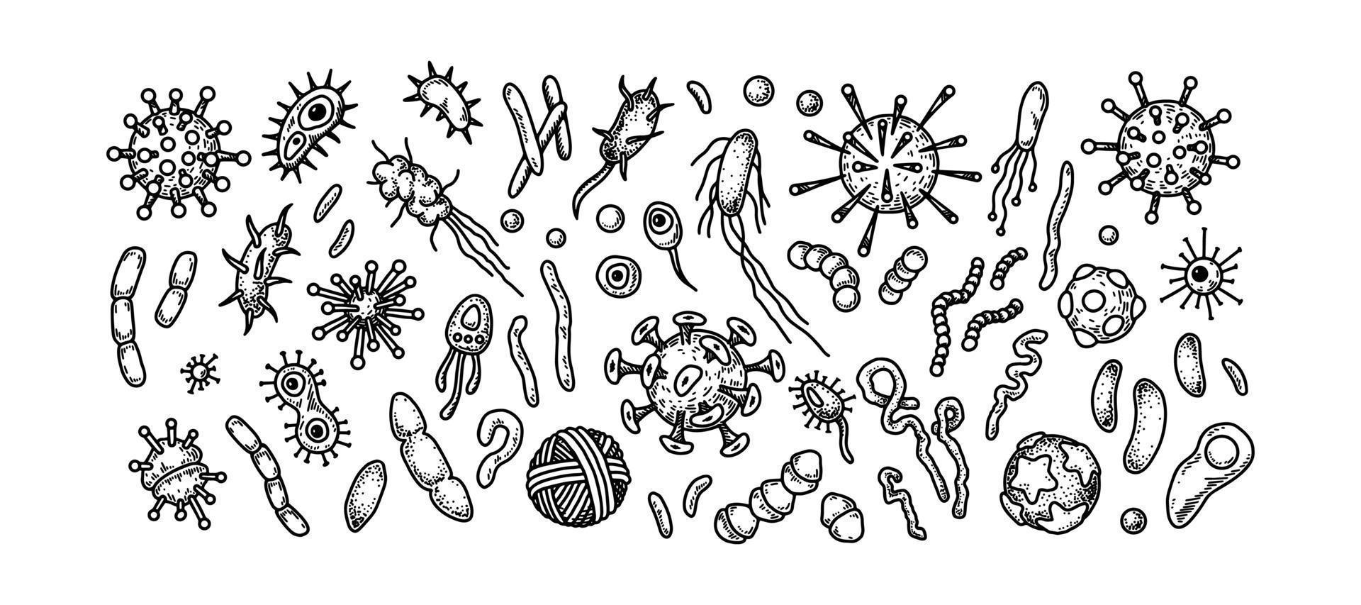 Set of viruses, bacteria and other microorganisms. Scientific vector illustration in sketch style