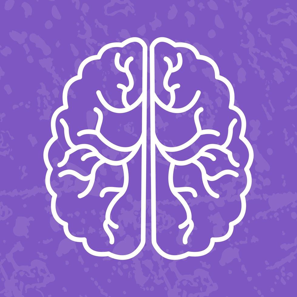 Brain Vector Icon