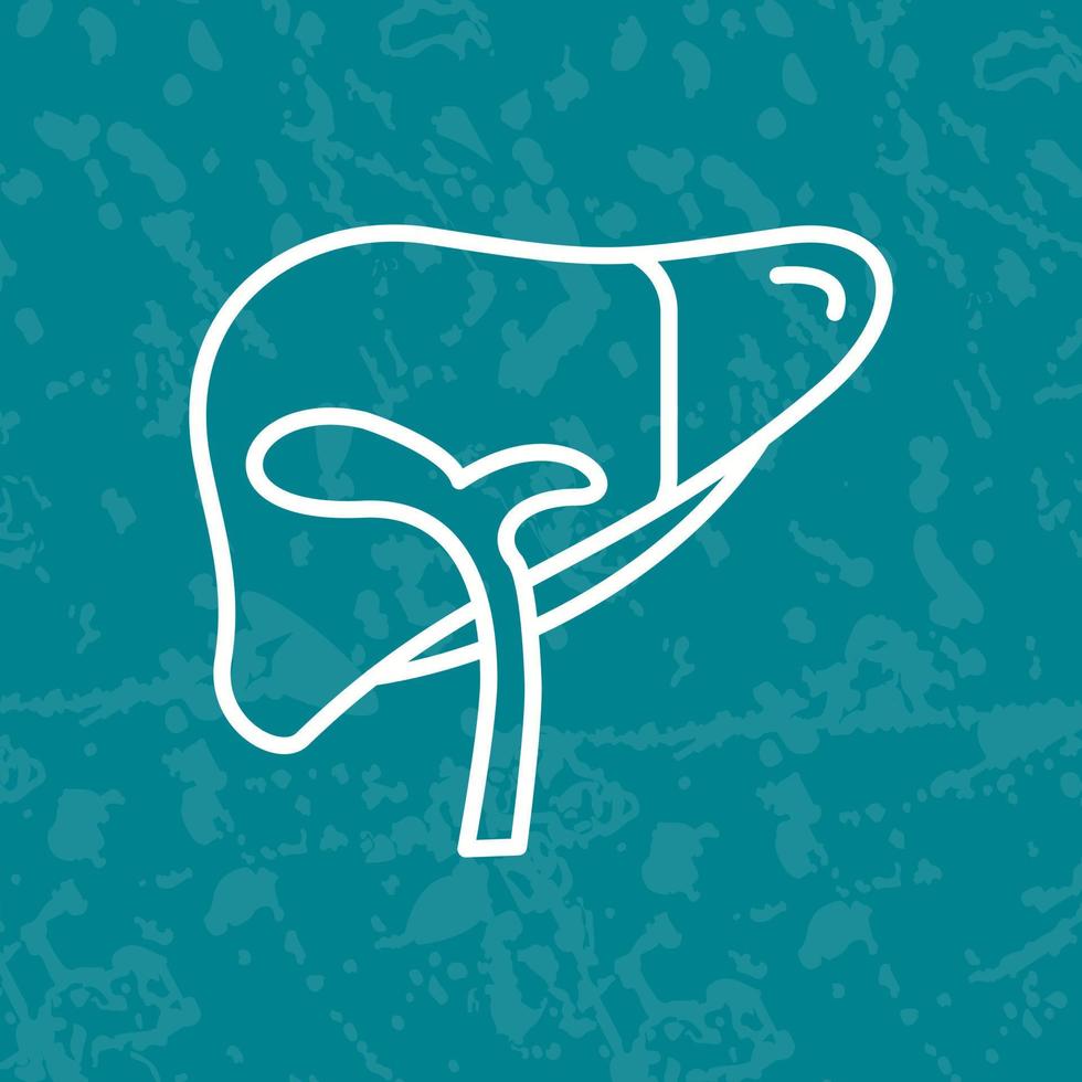 Liver Vector Icon