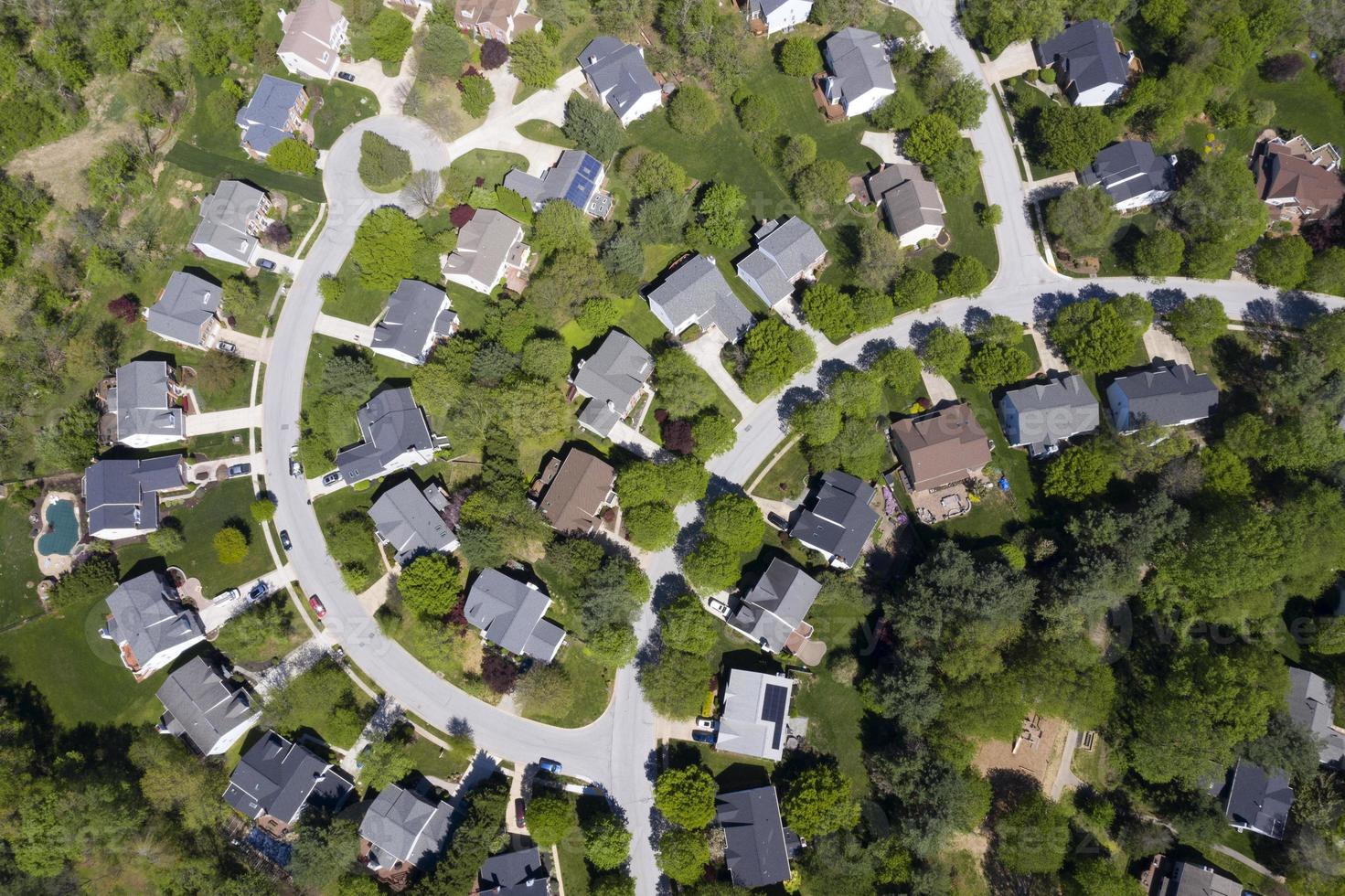 upper middle class american neighborhood with curving street in Maryland photo