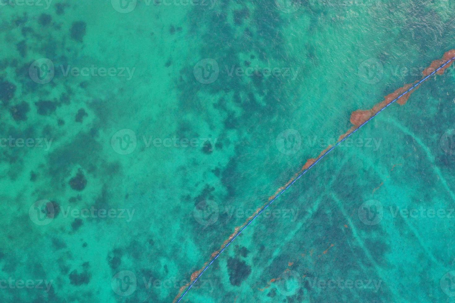 caribbean sea covered by sargasso algae in Tulum photo