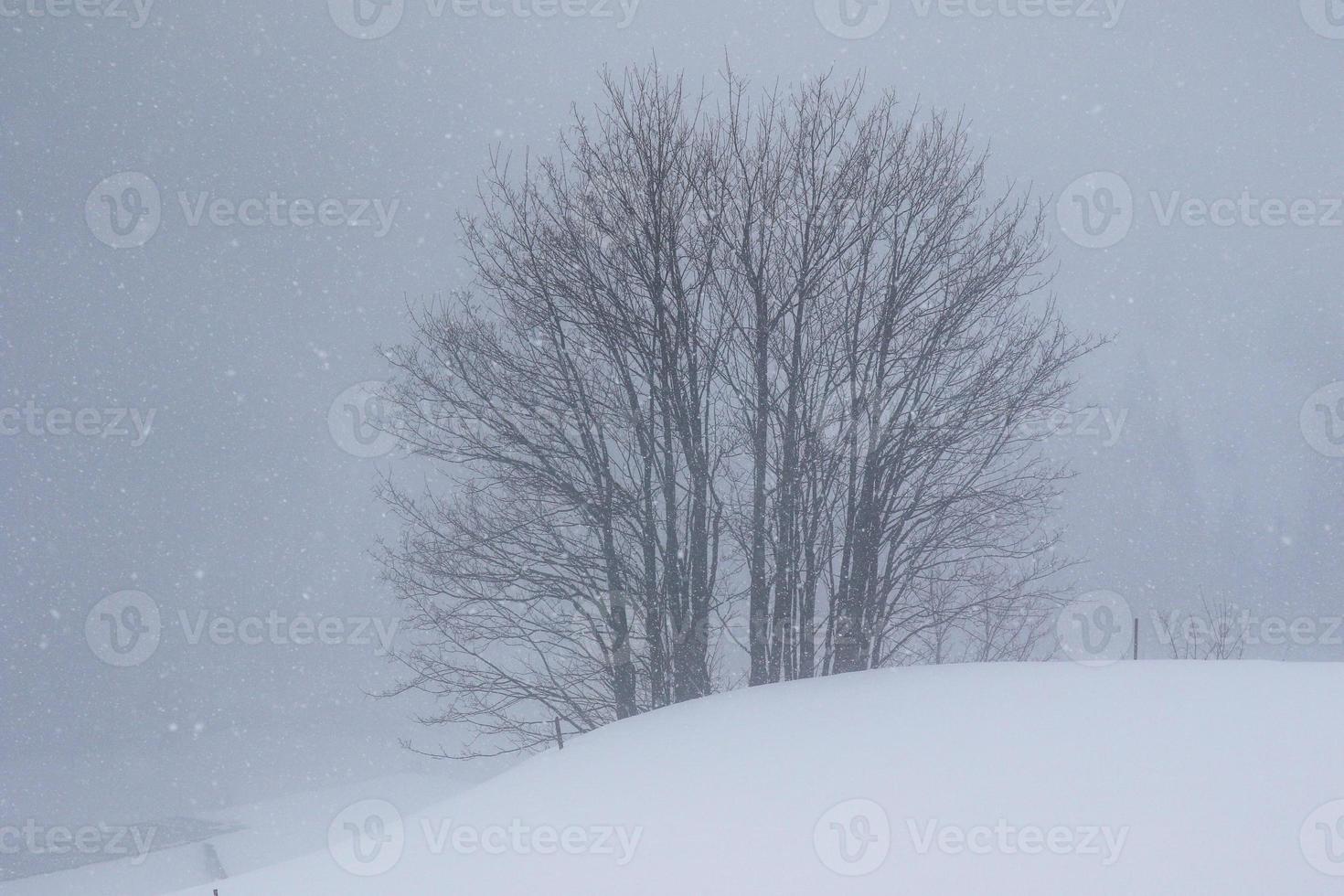 winter landscape in Austrian Alps photo