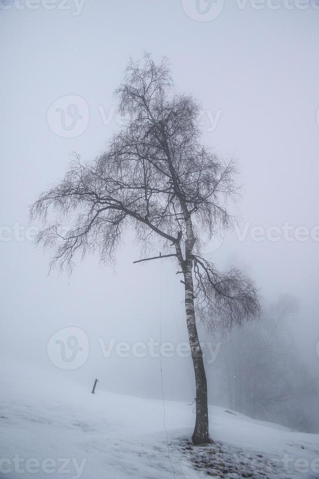 winter landscape in Austrian Alps photo