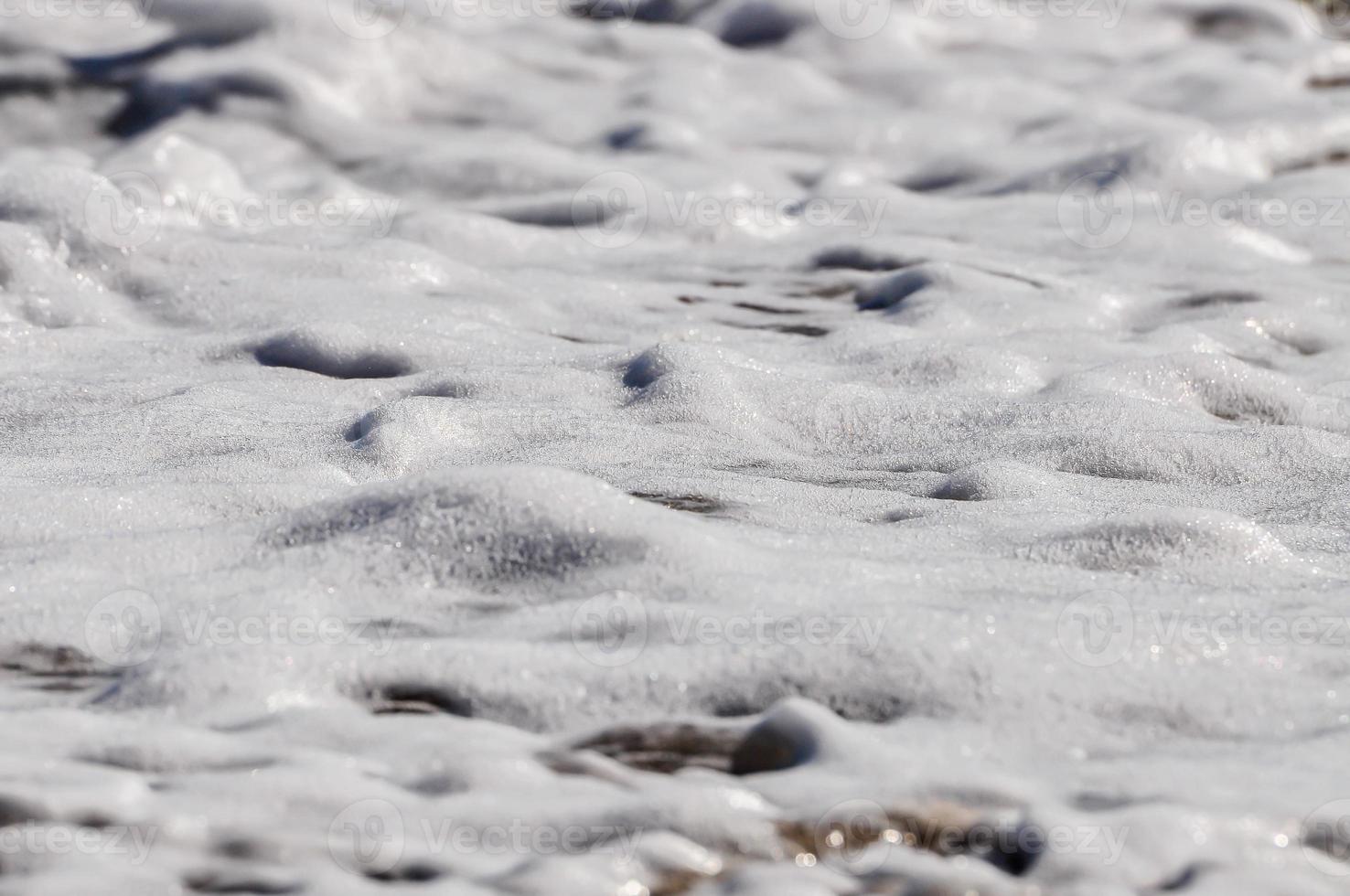 sea foam. splash water photo