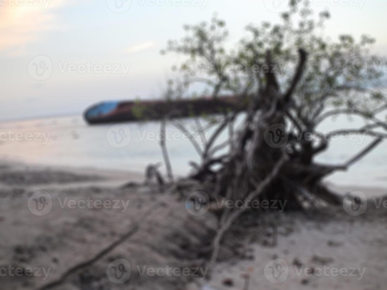 blur image of boat and tree on the beach at sunset. photo