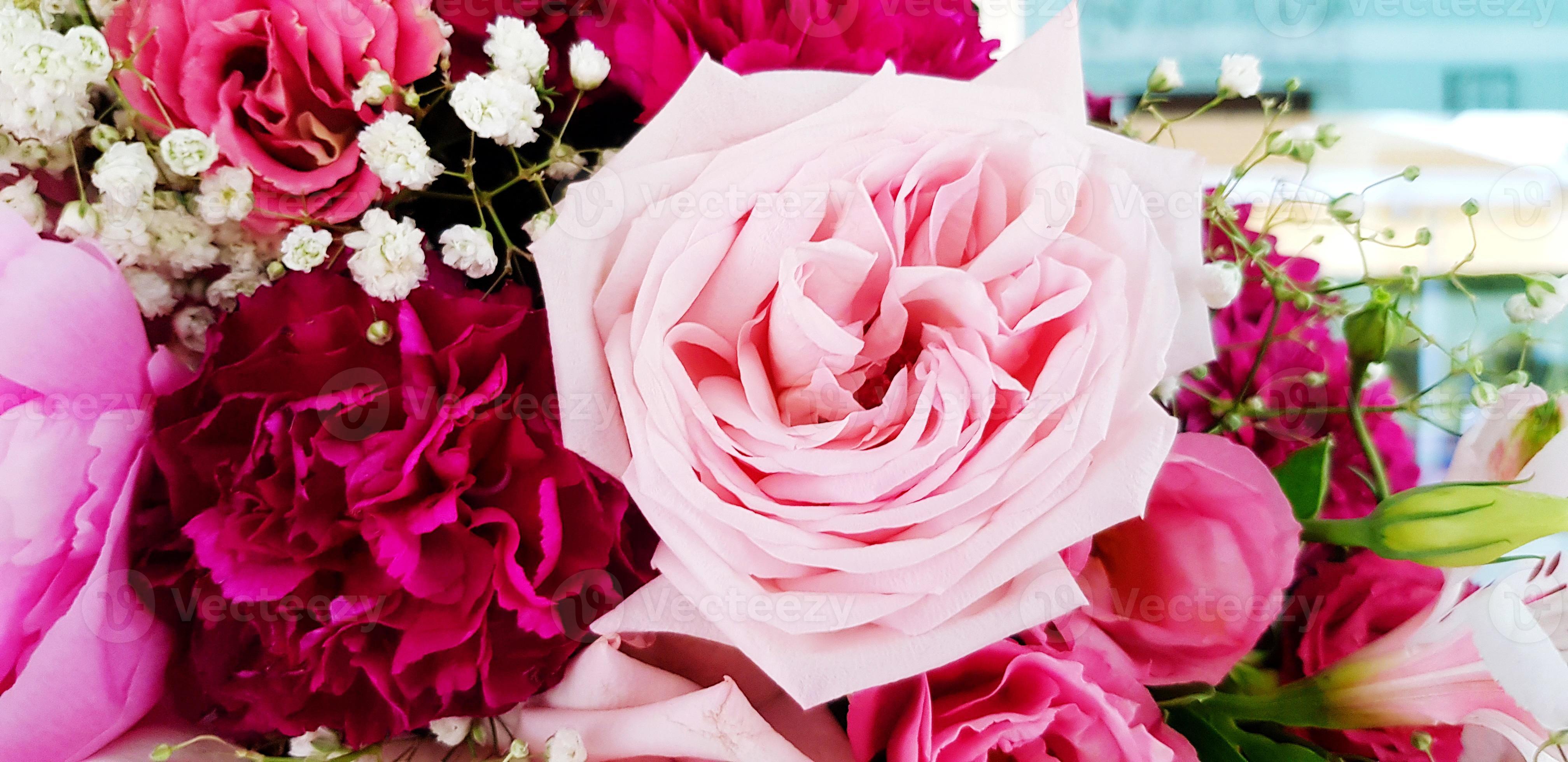 Beautiful pink rose with another flower for background. Beauty of