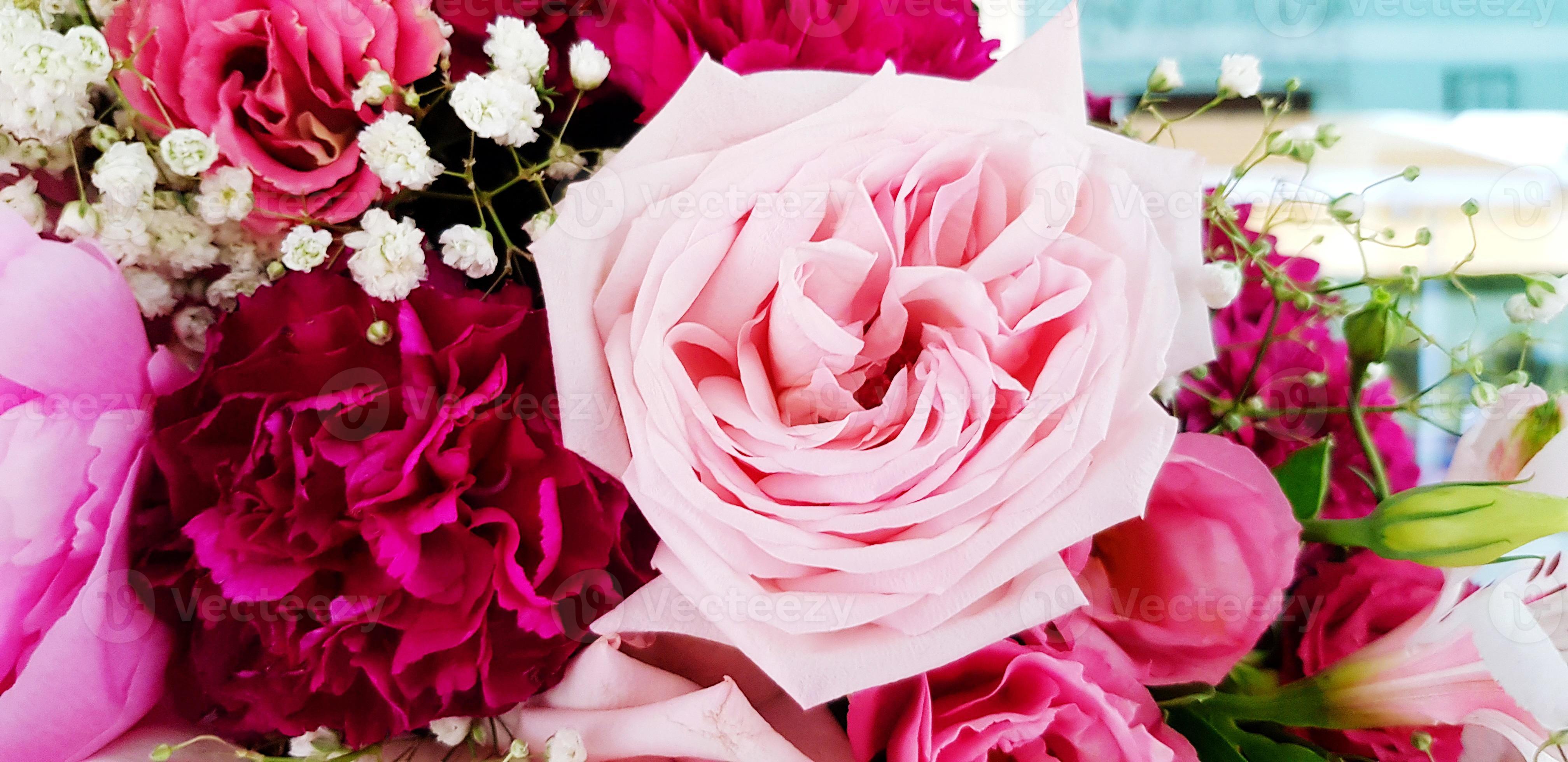 Beautiful pink rose with another flower for background. Beauty of Nature,  Natural wallpaper, Celebration, Gift, love or lover and Valentine day  concept 18740119 Stock Photo at Vecteezy