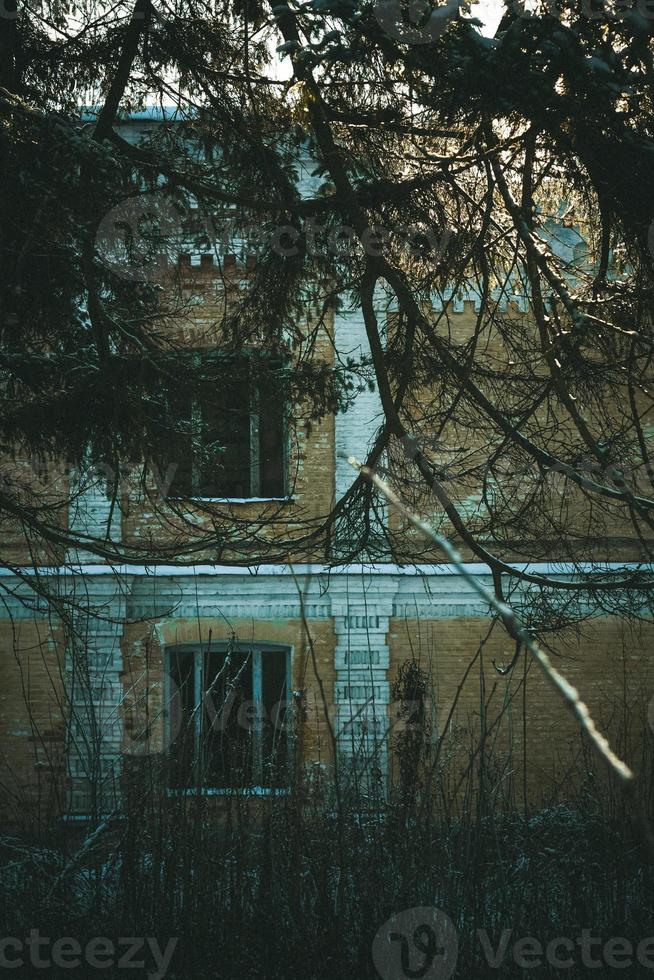 cerrar un edificio abandonado de varios pisos con una foto conceptual de ramas de abeto cubiertas de maleza