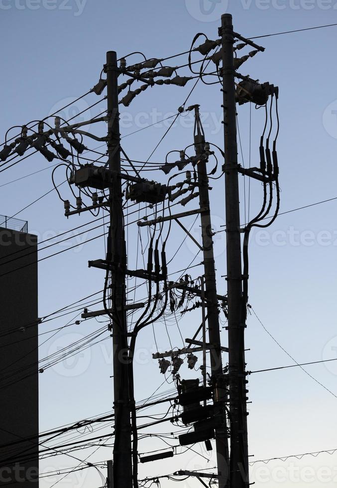 Power lines in Japan in the evening hours photo