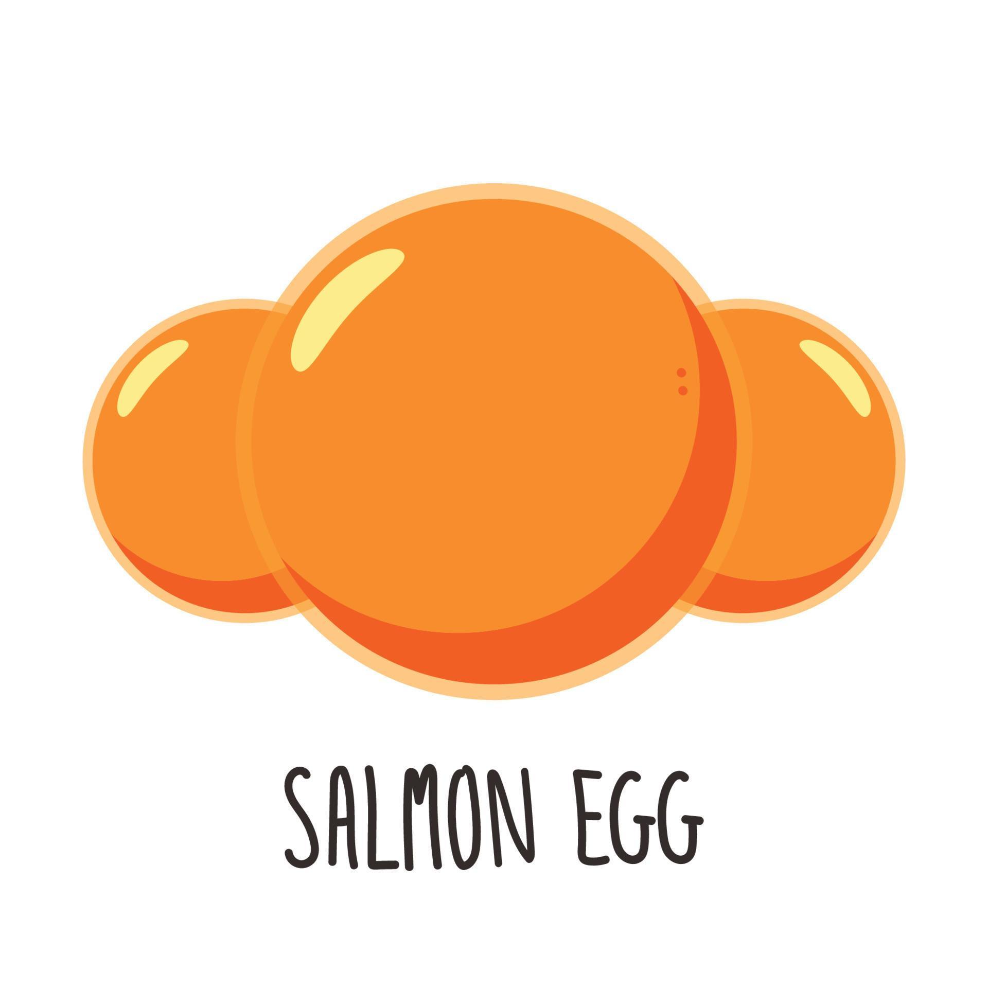 Salmon egg vector. Salmon egg on chopsticks. free space for text. copy
