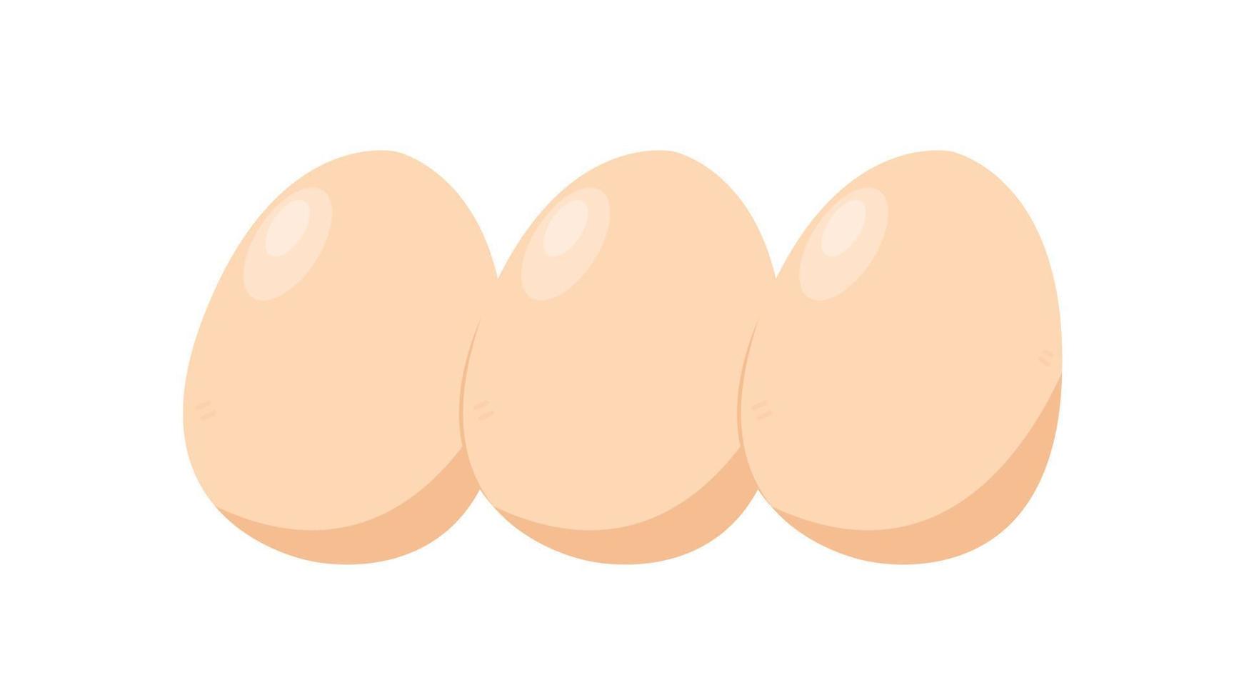 Egg vector. Egg vector on white background.