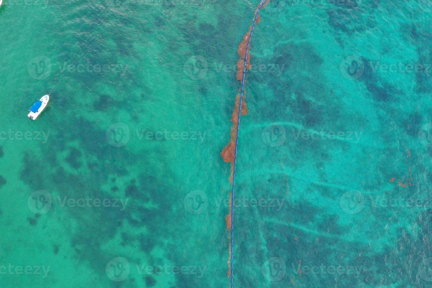 mar caribe cubierto por algas sargasso en tulum foto