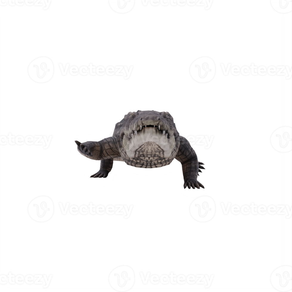 crocodilo africano 3d isolado png