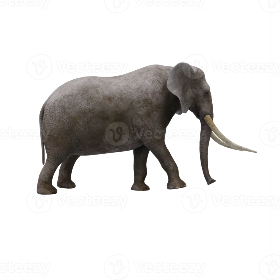 elefante 3d aislado png