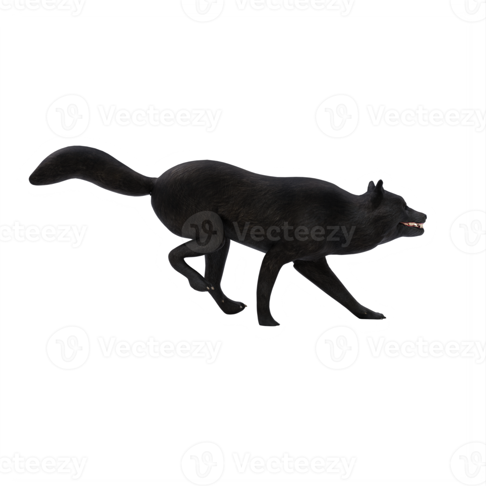 3d black WOLF isolated png