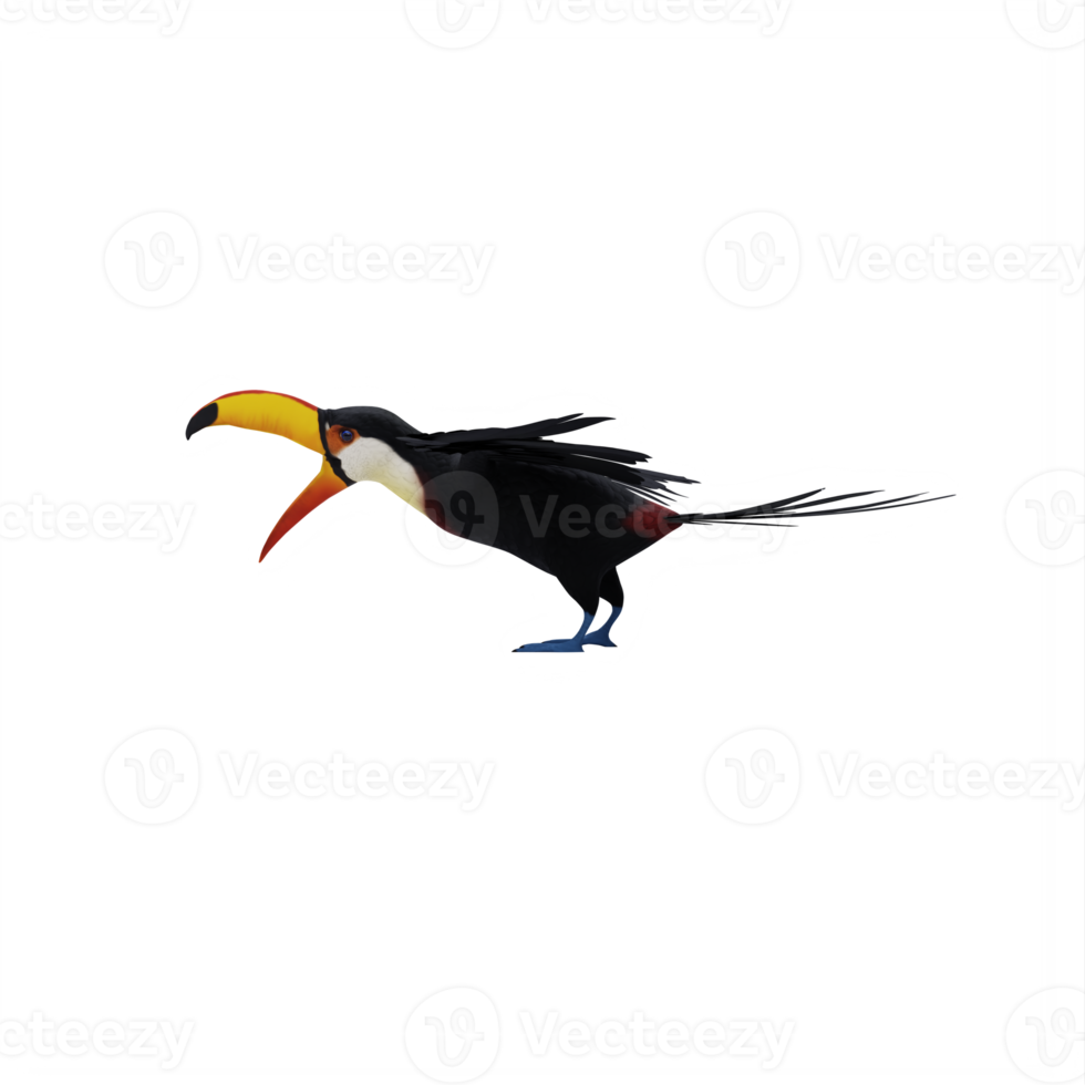 3d toucan bird isolated png