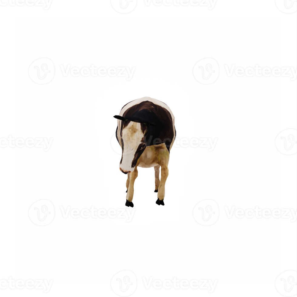 3d cows isolated png
