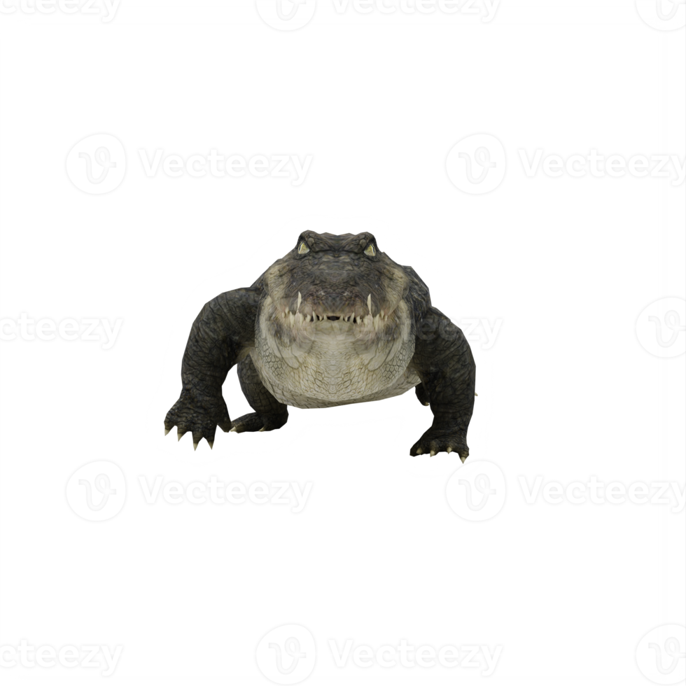 crocodile 3d isolé png