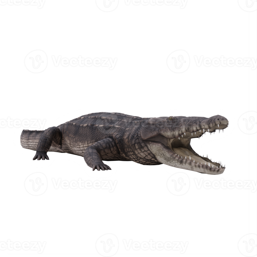 3d African crocodile isolated png