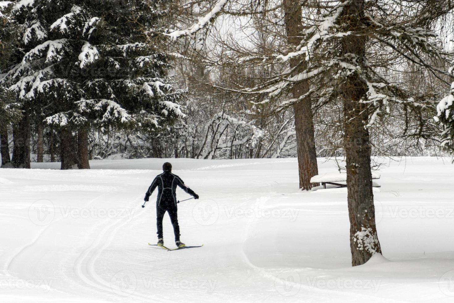 cross country skiing in alps photo