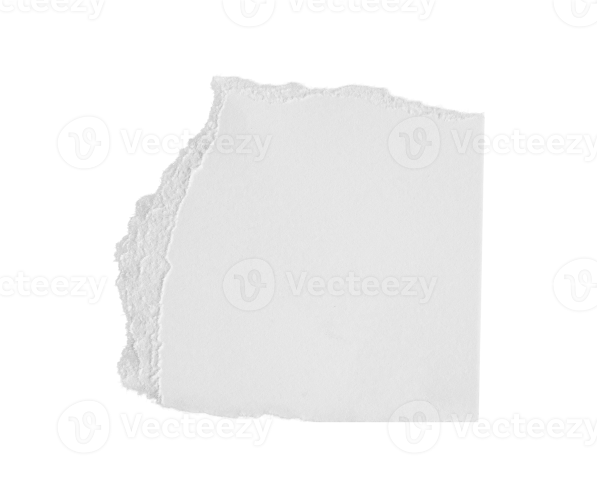 White ripped piece of paper isolated on transparent background PNG file