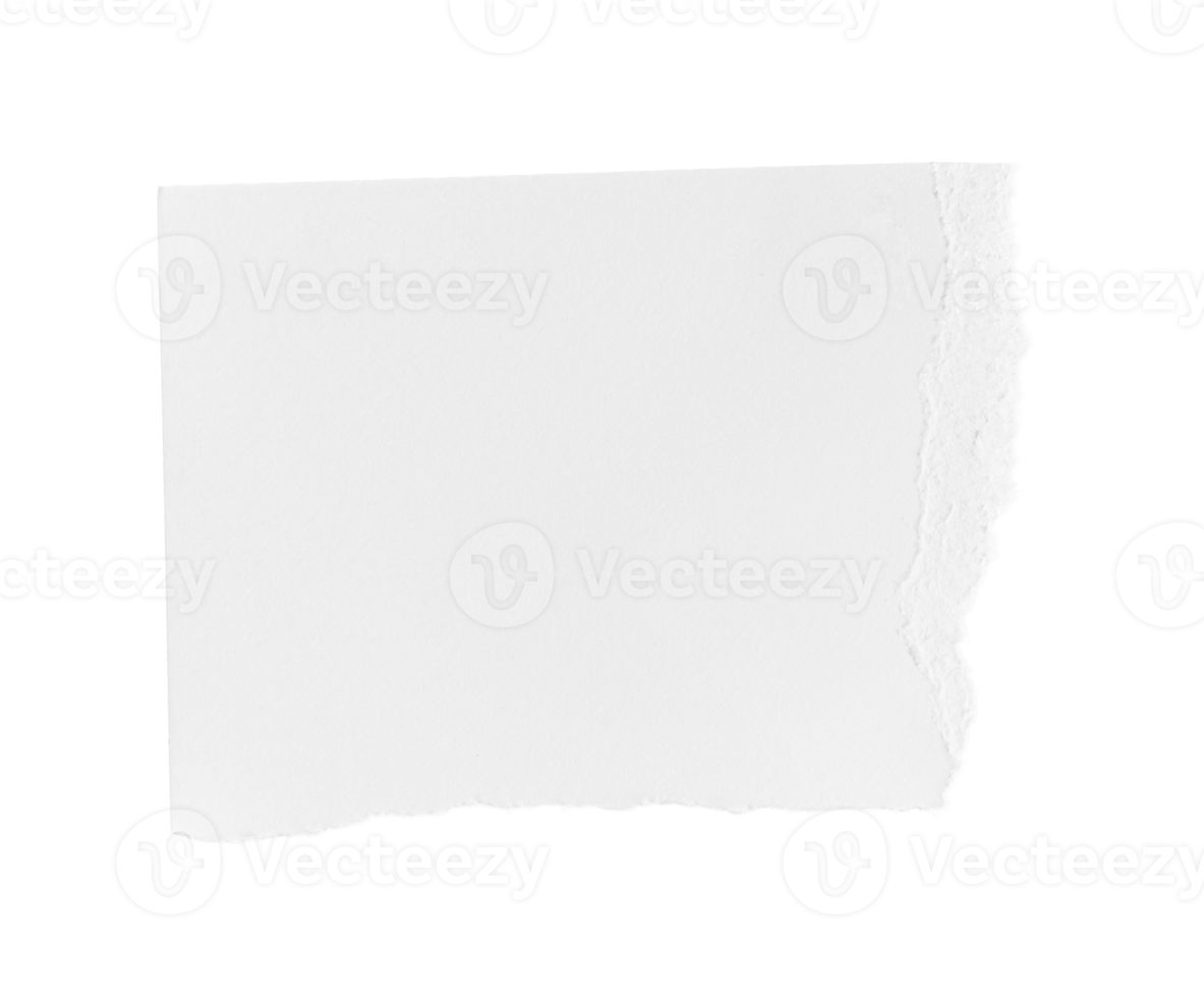 vit rev bit av papper isolerat på transparent bakgrund png fil