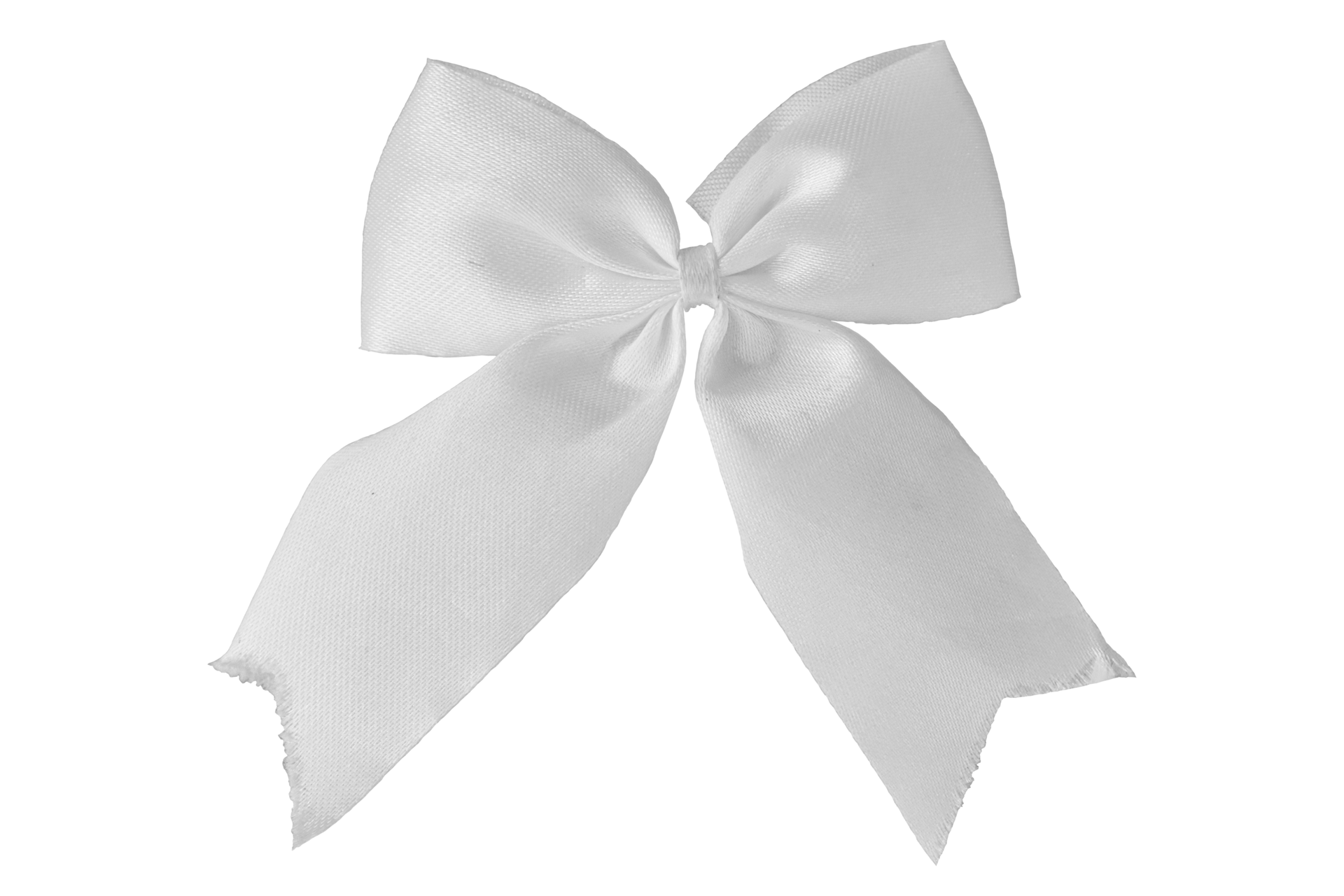 White bow for gift isolated 18742932 PNG
