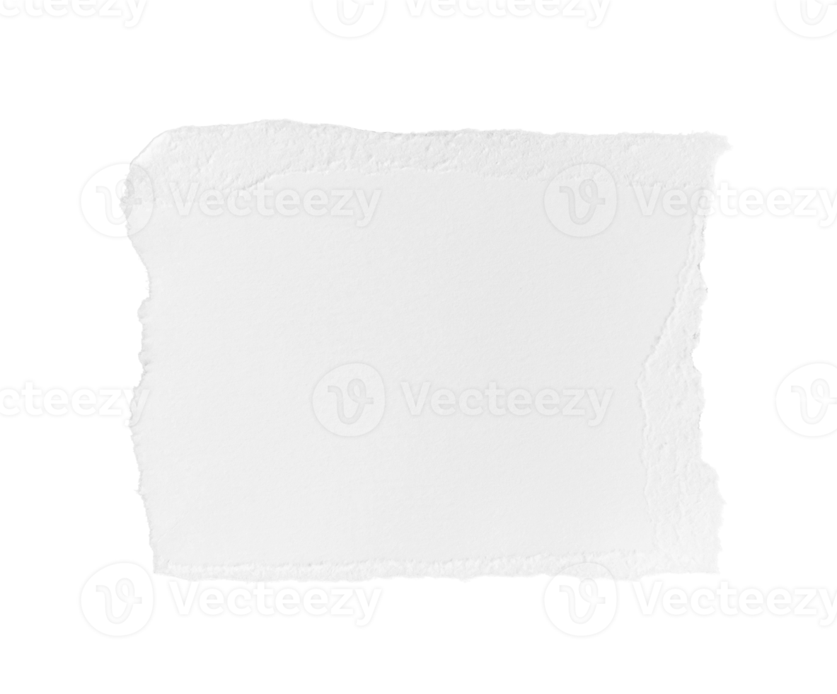 White ripped piece of paper isolated on transparent background PNG file