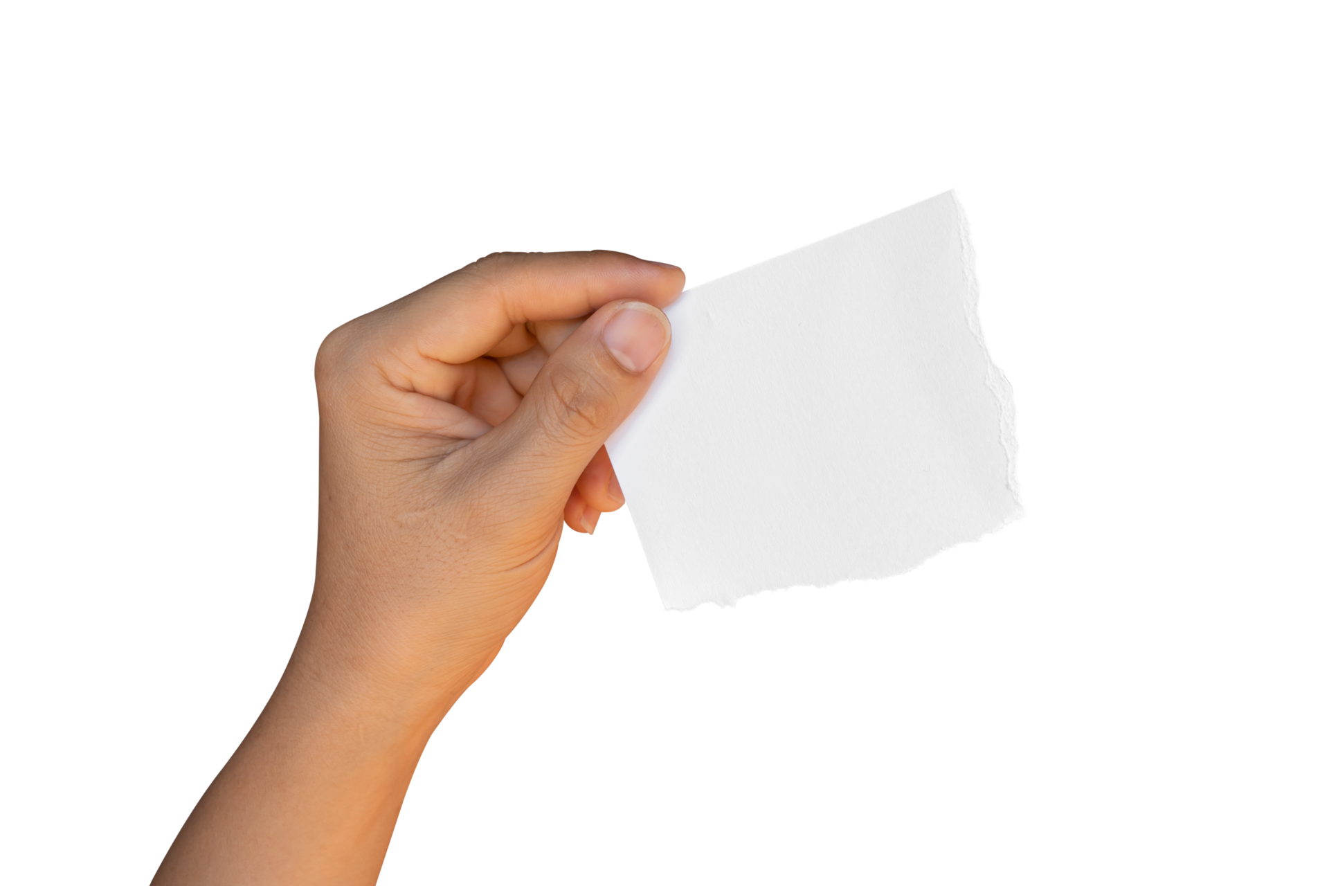 Hand holding ripped torn paper isolated on transparent background PNG