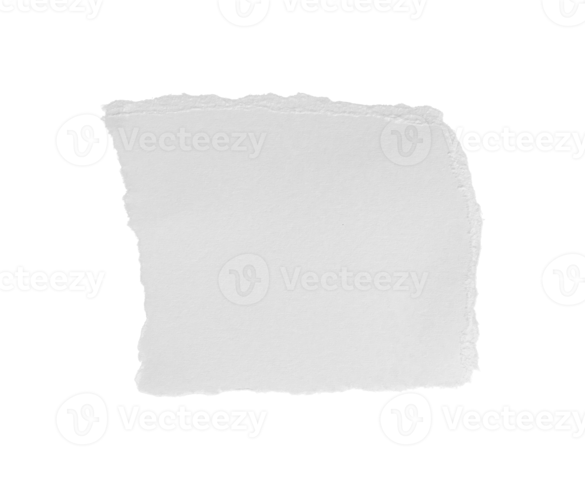 White ripped piece of paper isolated on transparent background PNG file